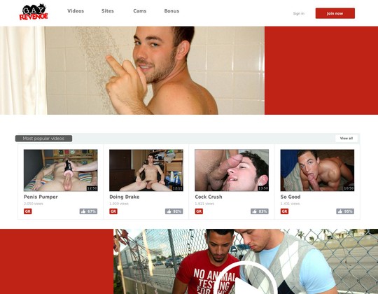 Gay Porn Login 2