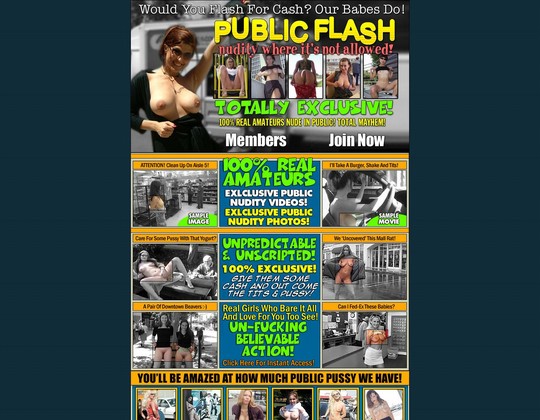 Public Flash Tour