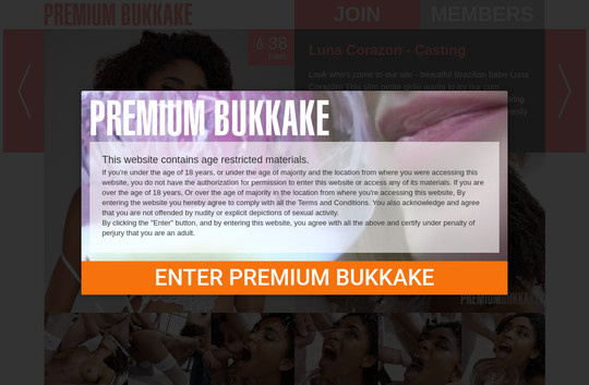 Premium Bukkake Casting