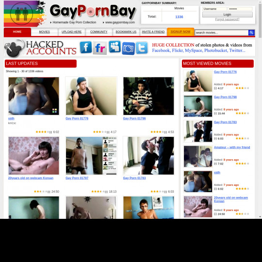 gay porn bay