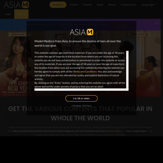 model media asia