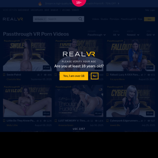 passthrough vr