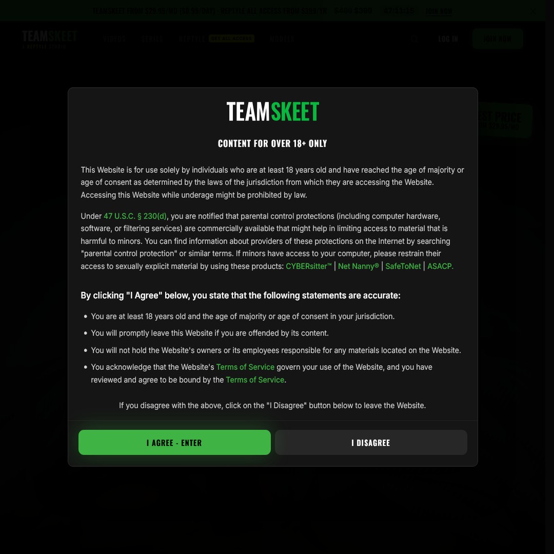 reptyle login