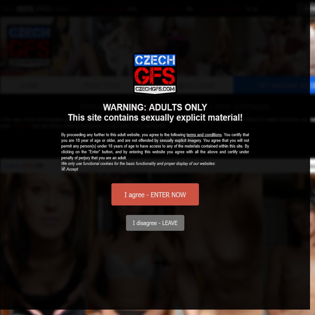 czech gfs login